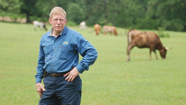 Greenville native Jimmy Jones has been breeding longhorns since 1986. The second largest agricultural commodity in Butler County is cattle. It accounted for $5.3 million of the county’s economy in 2010. (File Photo)