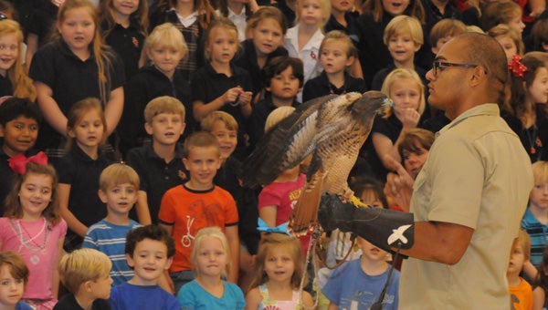 Students at Fort Dale Academy get an up close look at a red-tailed hawk. The red-tailed hawk was one of six birds of prey that was part of the Alabama 4-H Center’s Raptor Trek.  Raptor Trek is a live bird of prey program featuring captive-bred, rehabilitated and imprinted birds. The show, which was sponsored by the Alabama Cooperative Extension and local businesses, was also held at W.O. Parmer Elementary School, Greenville Elementary School, Georgiana School and McKenzie School. (Advocate Staff/Andy Brown)