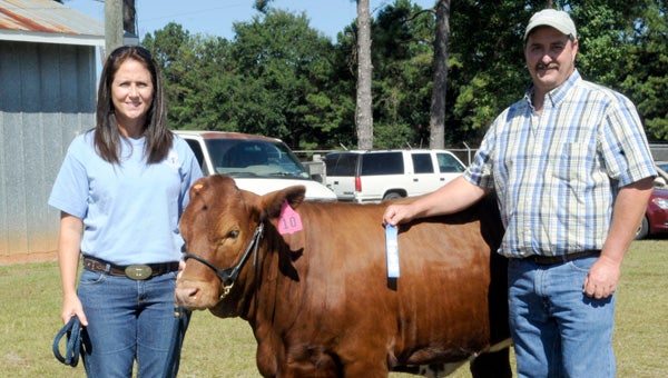 Doc’s Sugar Pie brought home the first place blue ribbon at the 59th annual Buter County Fair livestock exhibit.  Doc’s Sugar Pie is a 13-month old Beefmaster heifer from Honey Dew Farms in Georgiana, Ala.  Pictured are owners, Jackie and Paul Thompson.  Doc’s Sugar Pie will make her next appearance at Old Time Farm Day on Oct. 26.   (Advocate Staff/Tracy Salter)