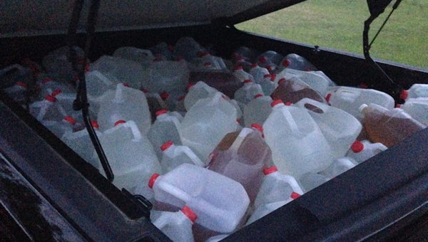 ABC agents confiscated 183.5 gallons of illegal spirits, packaged in what appeared to be brand new 1-gallon, clear plastic milk jugs from a Lowndes County moonshine operation. (Courtesy Photo)