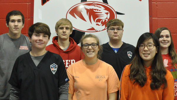Seven students from the Luverne High School marching band will have the opportuniy to participate in the South Eastern United States (SEUS) Honor Band hosted by Troy University on Feb. 4-6. Pictured are, from left to right, Brett Bowlan,  MacKenzie Carlos,  Jihee Choi, Corbin Knott, Josh Hermeling , Jackson Holloway and Katie Marie Smith. (Photo by Beth Hyatt)