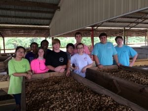 Members of the LHS Future Business Leaders of America (FBLA) group came out to help with this year's peanut boil.