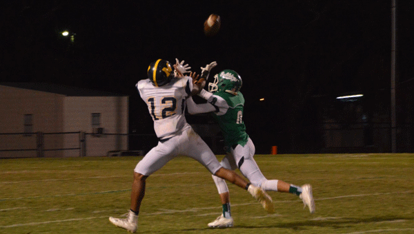 McKenzie receiver Quindario Lee elevates for a catch over a Brantley defender during the Tigers' loss to the Bulldogs.